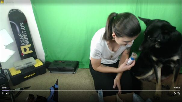 AnneMunition