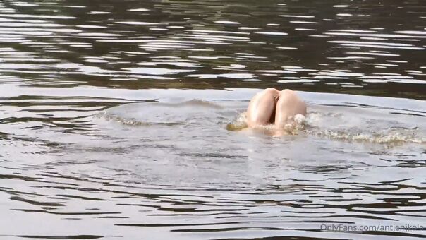 Antje Monning