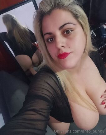 anto_bunny