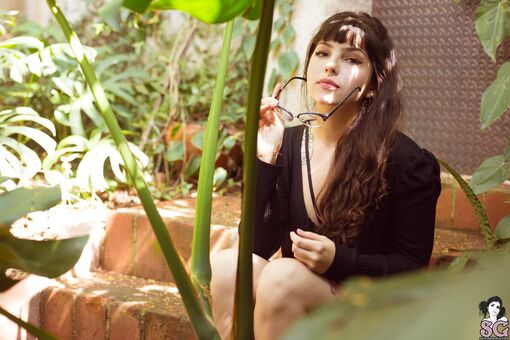 antonieta