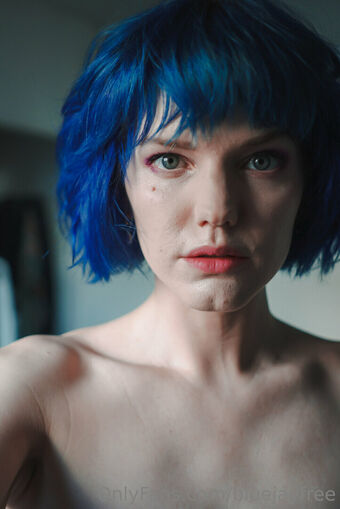 bluejayfree
