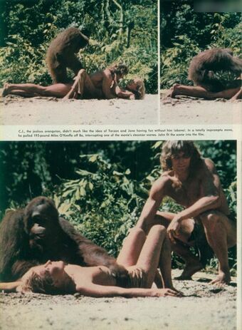 Bo Derek Foto Nude Leaked OnlyFans 12