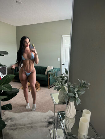 Bodybybriea