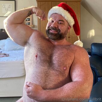 bullbrit