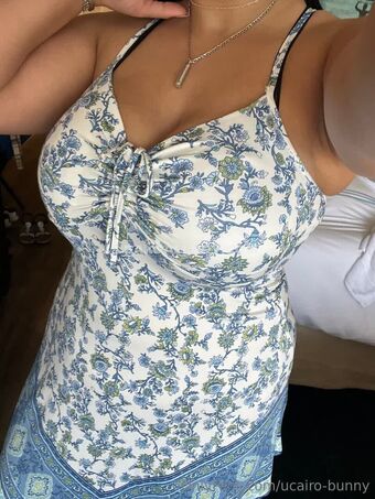 Cairobunny