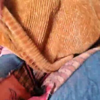 Cami Sweet Foto Nude Leaked OnlyFans 40