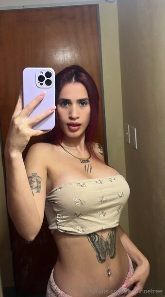camiinoefree