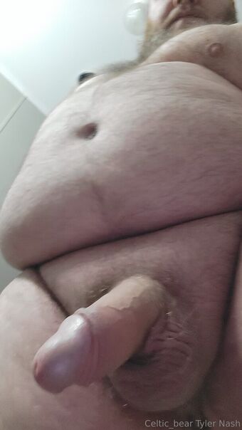 celtic_bear
