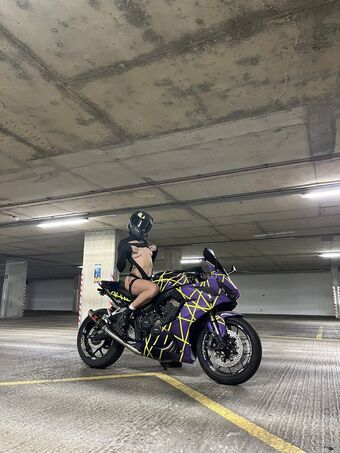 Chaotic_vixenn