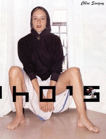 Chloe-sevigny