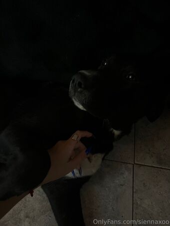 eclair.clair Foto Nude Leaked OnlyFans 16