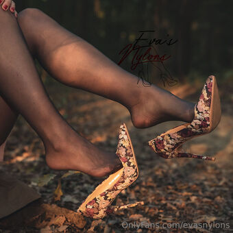 evasnylons