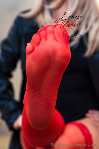 evasnylons