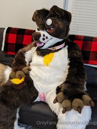 extrasoftpup Foto Nude Leaked OnlyFans 15