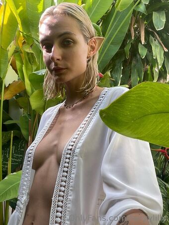 fairyylilly