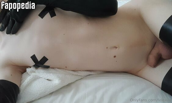 Felexiia Foto Nude Leaked OnlyFans 45