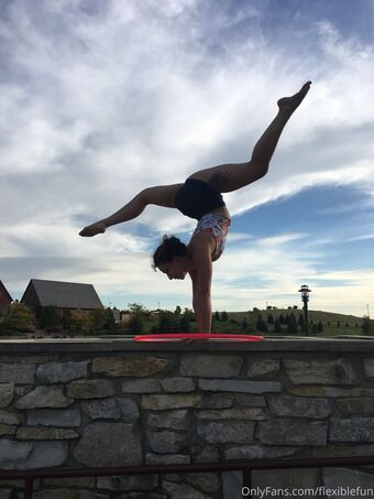 flexiblefun