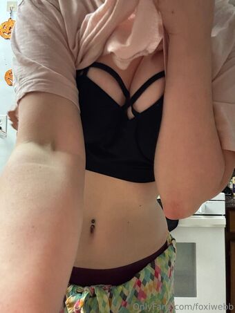 Foxiwebb Foto Nude Leaked OnlyFans 36