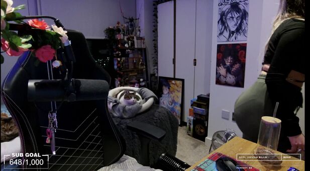 Geestargames