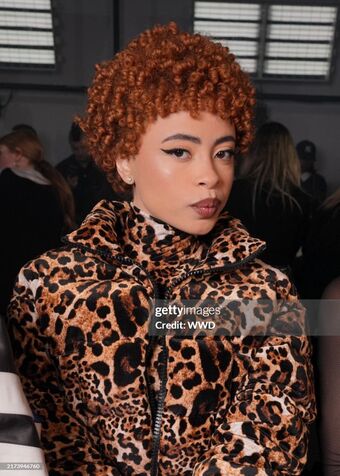 Ice Spice