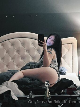 ididitforfunnn
