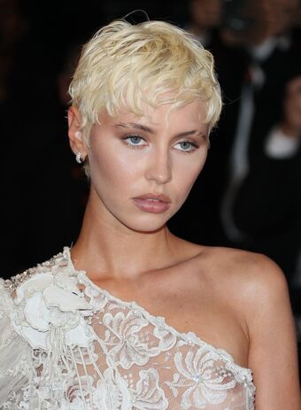 Iris Law