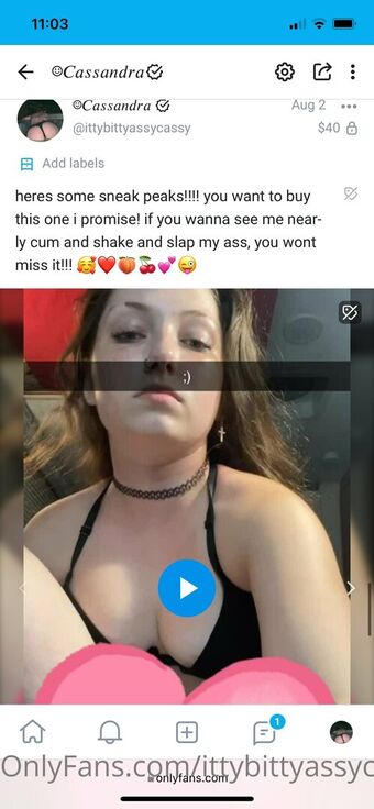 Ittybittyassycassy