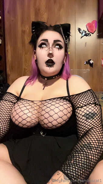 jamboscat1