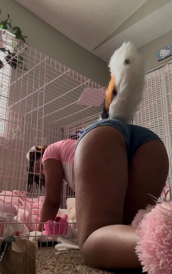 jupeinspace Foto Nude Leaked OnlyFans 2