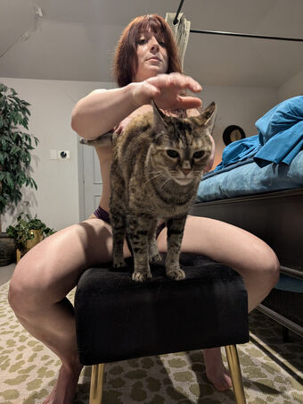 kitty_bit_games