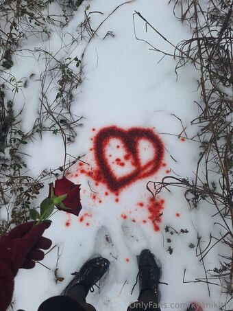 kyanikitty