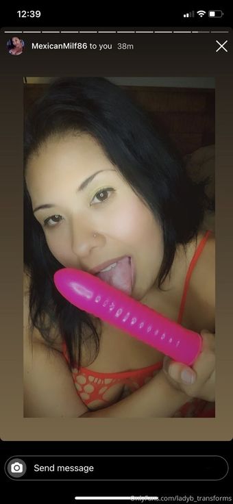 ladyb_transforms