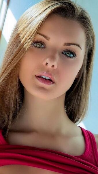 lexistar