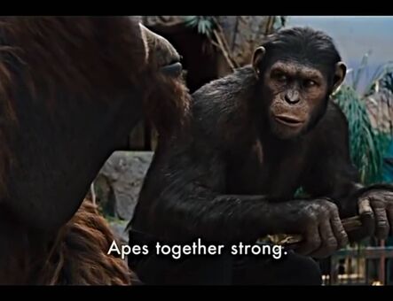 lilijunex Foto Nude Leaked OnlyFans 125