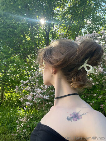 lilynox Foto Nude Leaked OnlyFans 29