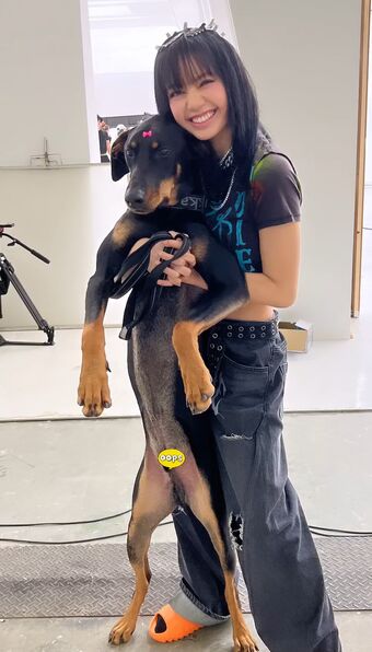 Lisa
