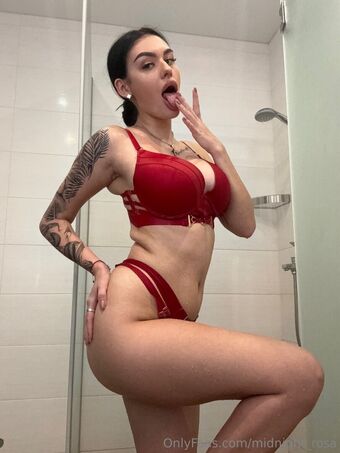 midnight_rosa