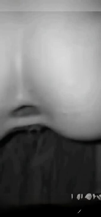 modelazal1