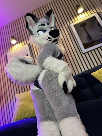 Murrsuit
