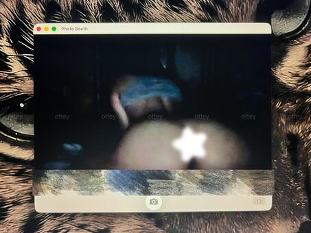 otternities Foto Nude Leaked OnlyFans 36