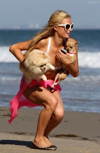 Paris Hilton