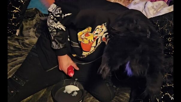 pawsheisty Foto Nude Leaked OnlyFans 7