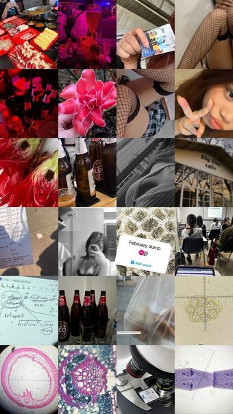 Pearwa_kr