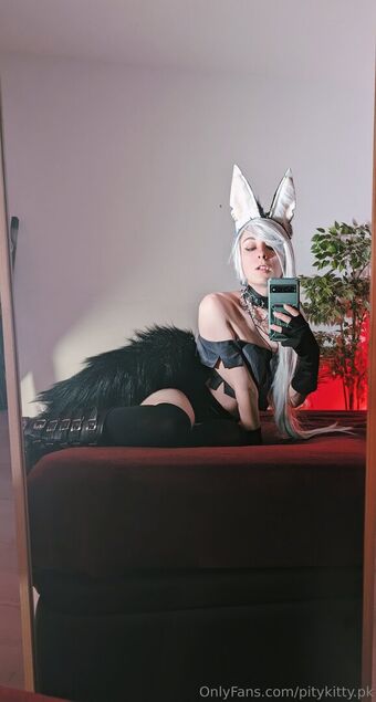 pitykitty.pk