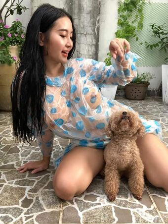PongKyubi