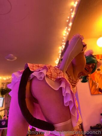 princesspoonch