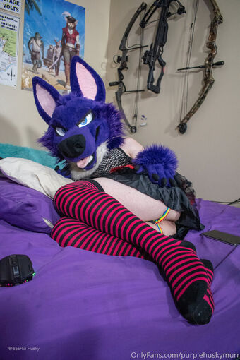 purplehuskymurr