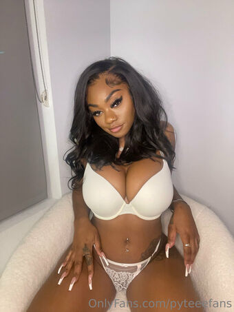 pyteeefans Foto Nude Leaked OnlyFans 15
