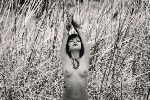 Ray Mattos