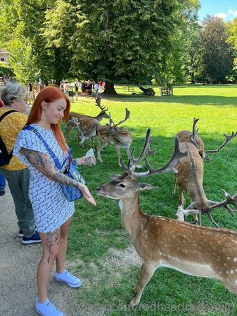 redheadragonvip